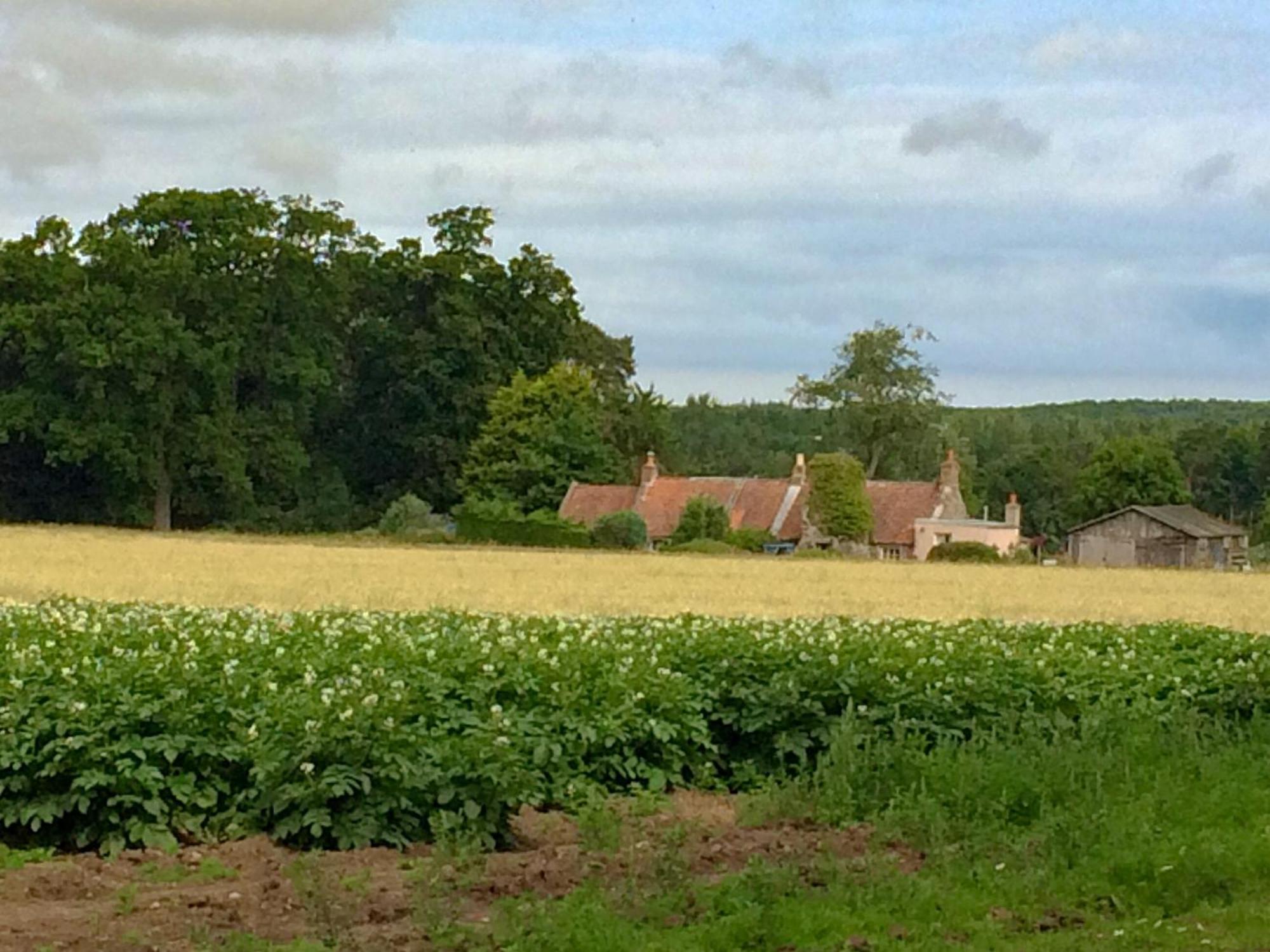 Cauldside West Cottage Whitekirk Εξωτερικό φωτογραφία